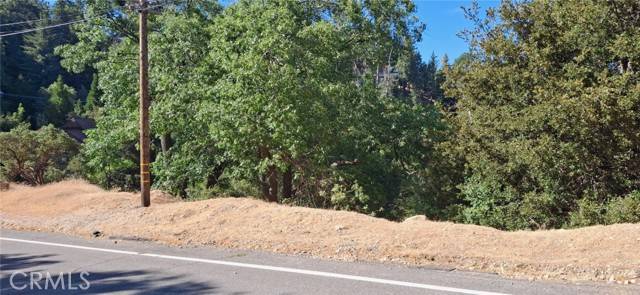 Lake Arrowhead, CA 92352,0 Brentwood Drive