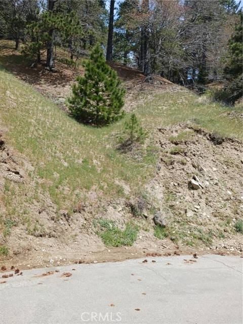 Cedarpines Park, CA 92322,21858 Fern Canyon Road