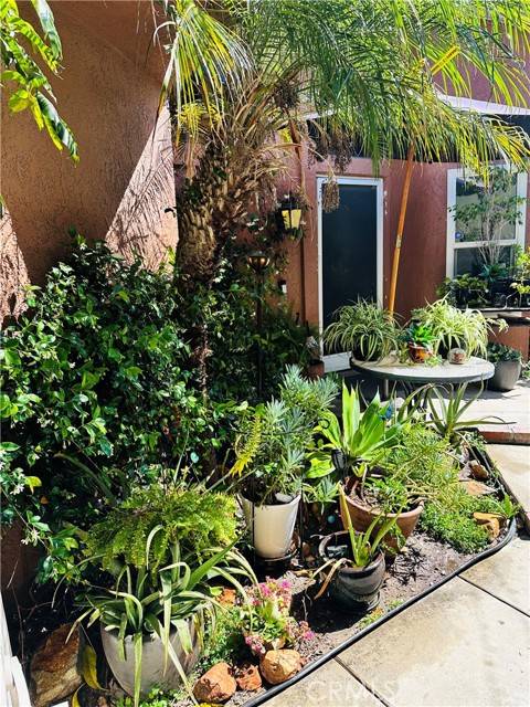Fontana, CA 92336,6559 Pacifica Avenue