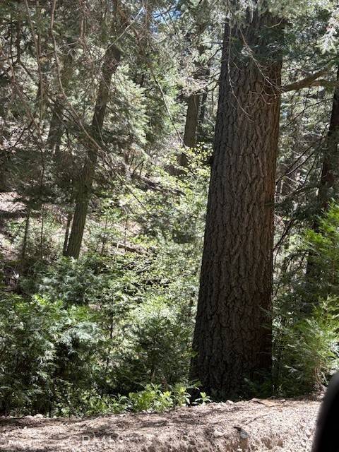 Twin Peaks, CA 92391,26101 Boulder Lane