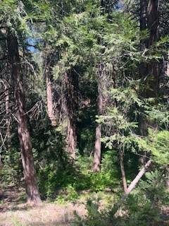 Crestline, CA 92325,0 Ashlar Road