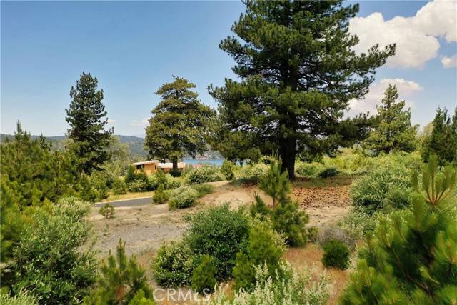 Lake Arrowhead, CA 92352,136 Mill Pond Road