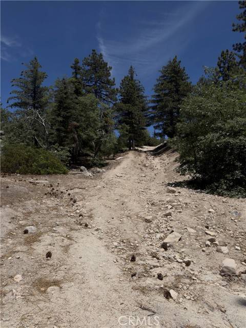 Running Springs, CA 92382,2526 Ridge Road