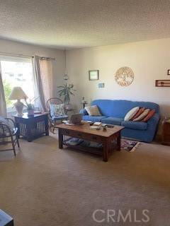 Yucaipa, CA 92399,11610 Dodd Street