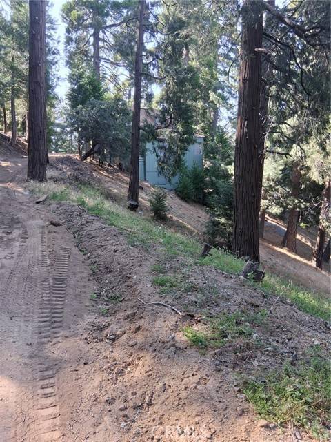 Cedarpines Park, CA 92322,61 Evergreen Drive