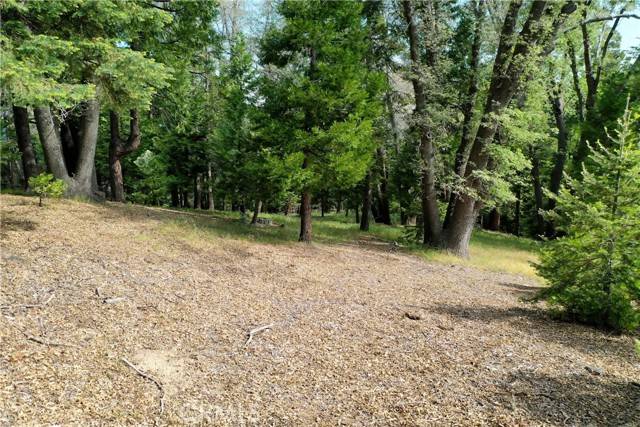 Lake Arrowhead, CA 92352,399 Cedar Ridge Drive