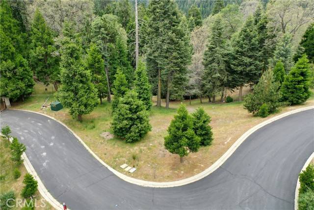 Lake Arrowhead, CA 92352,275 Ponderosa Peak Road