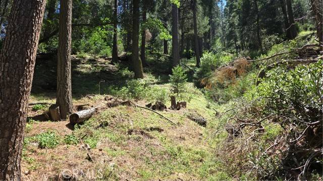 Cedarpines Park, CA 92322,0 Deer Run Road