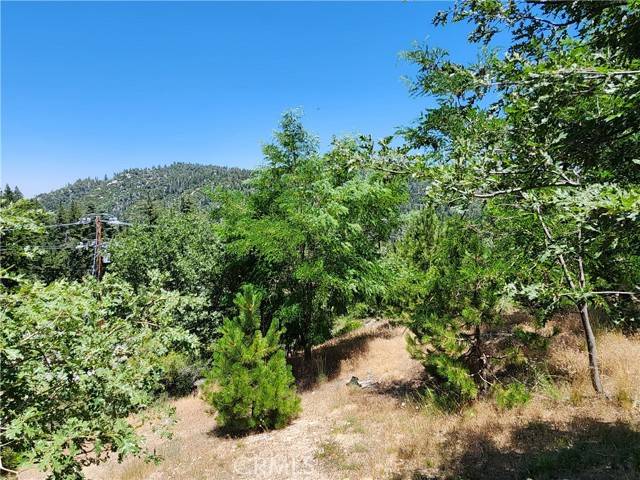 Running Springs, CA 92382,31912 Encina Way