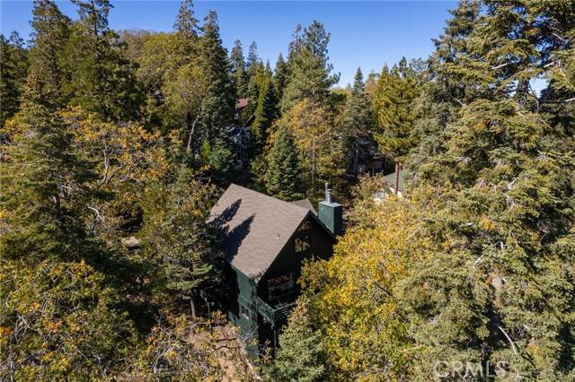 Lake Arrowhead, CA 92352,124 C Lane