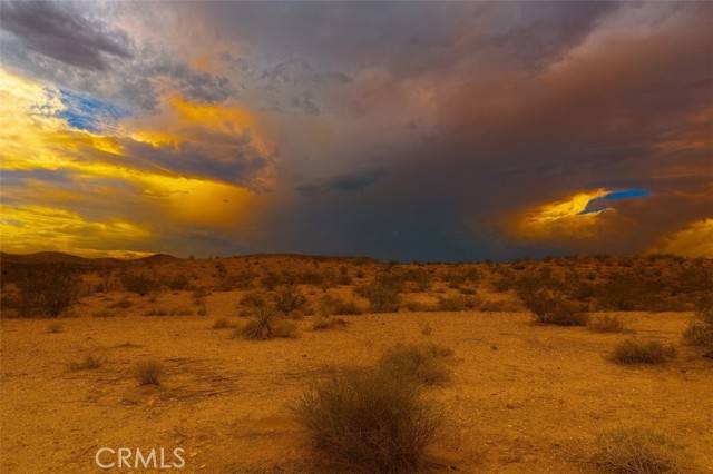 Yucca Valley, CA 92284,0 Bowman Trail