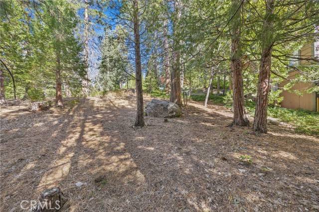 Lake Arrowhead, CA 92352,180 Grass Valley