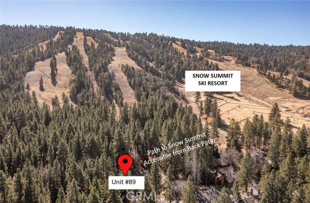 Big Bear Lake, CA 92315,41935 Switzerland Drive #89