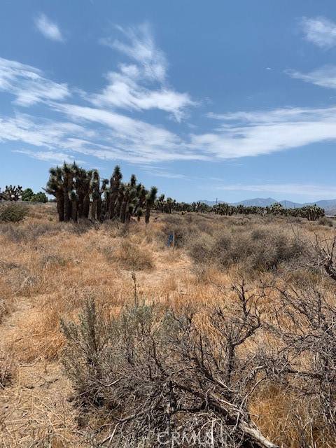 Phelan, CA 92371,0 Tumbleweed