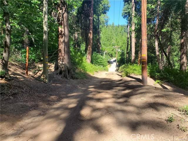 Cedarpines Park, CA 92322,47 El Valle