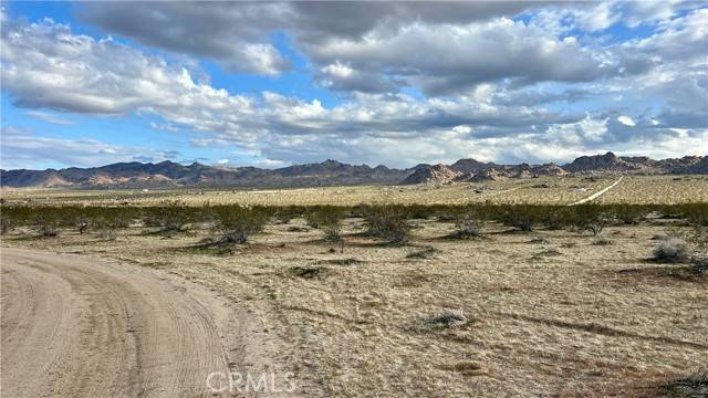 Joshua Tree, CA 92252,123 Mojave Ranch Road