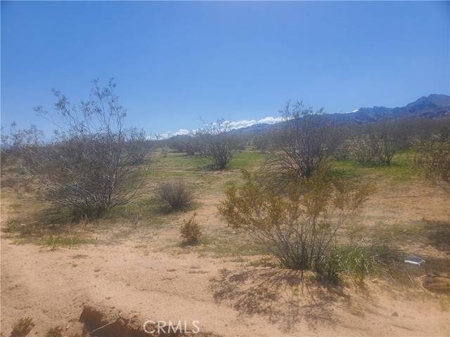 Apple Valley, CA 92307,0 00