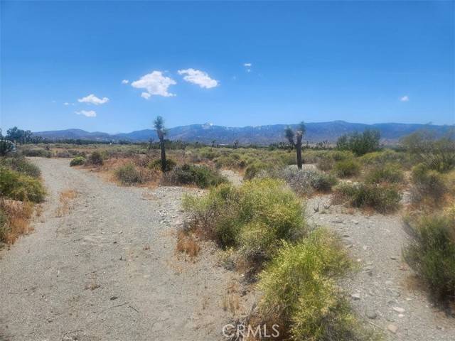 Pinon Hills, CA 92372,0 Minero Road