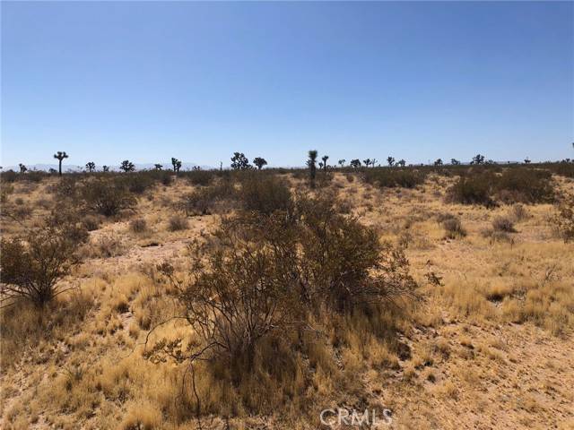 Adelanto, CA 92301,0 Holly Road