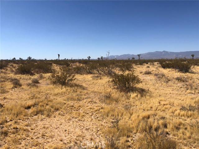 Adelanto, CA 92301,0 Holly Road