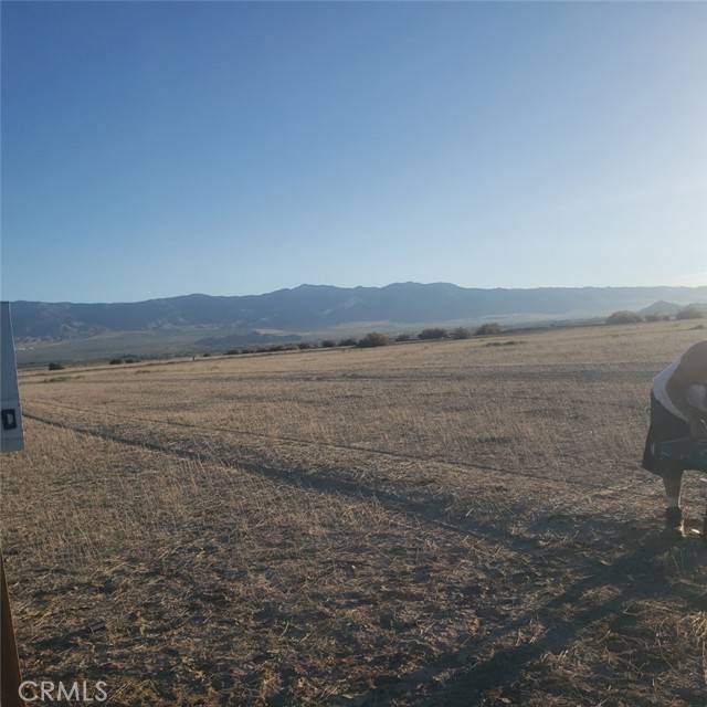 Lucerne Valley, CA 92356,0 no name