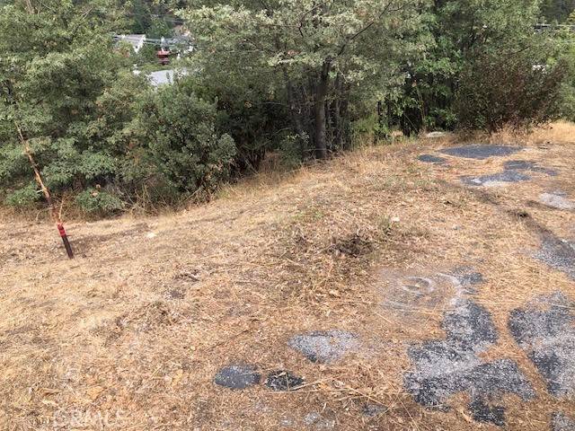 Lake Arrowhead, CA 92352,0 Trinity Lot 332 Drive