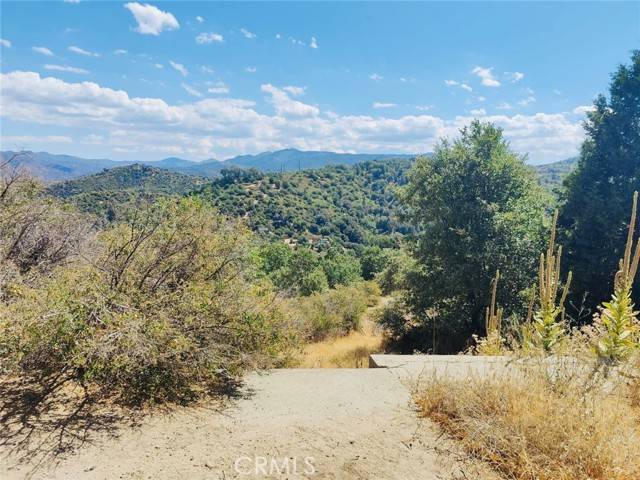 Cedar Glen, CA 92321,289 Lilac Way