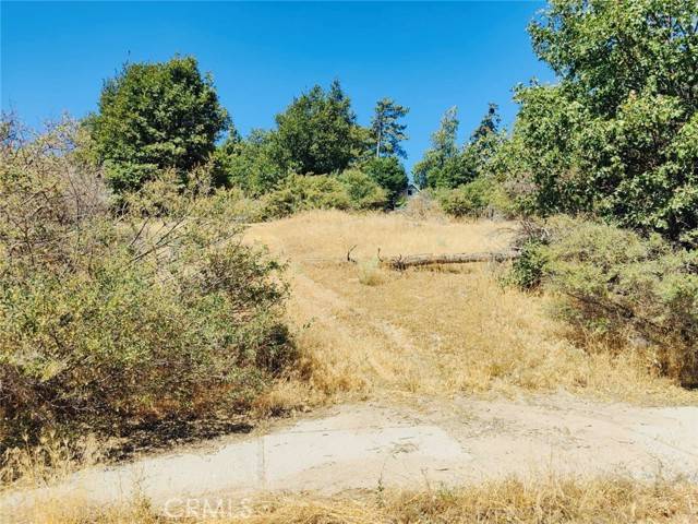 Cedar Glen, CA 92321,289 Lilac Way