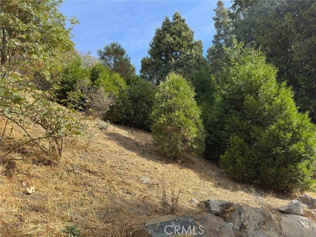 Lake Arrowhead, CA 92352,181 Fremont Drive