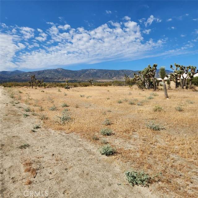 Pinon Hills, CA 92372,0 Arena Road