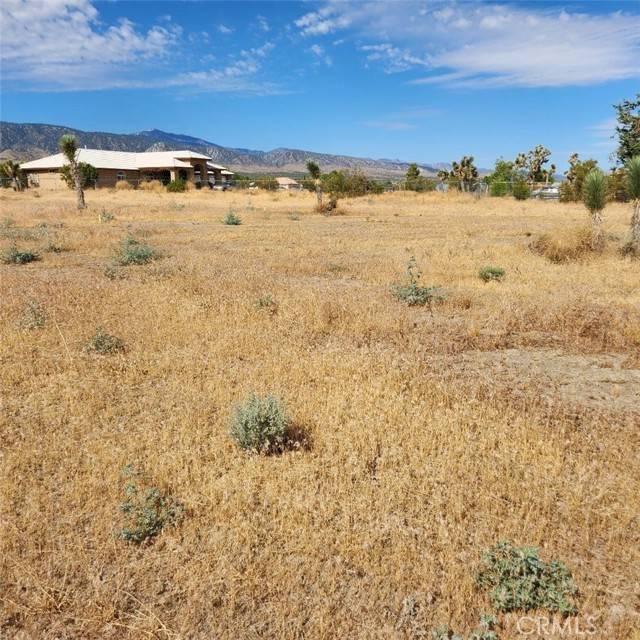 Pinon Hills, CA 92372,0 Arena Road