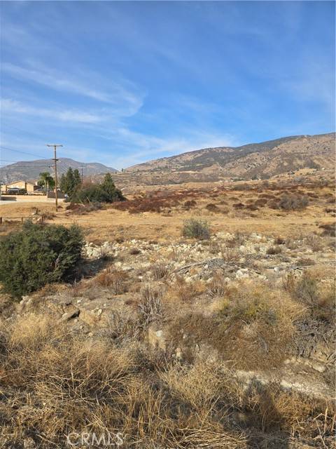 Yucaipa, CA 92399,0 Juniper