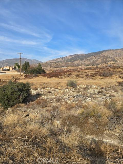 Yucaipa, CA 92399,0 Juniper