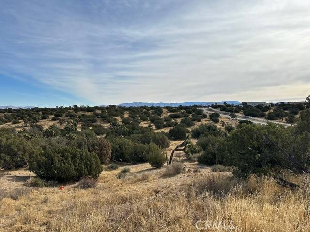 Oak Hills, CA 92344,0 Verbena