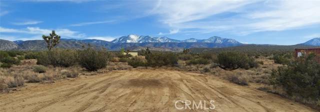 Llano, CA 93544,0 Avenue Y