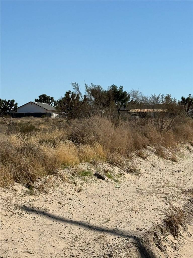 Phelan, CA 92371,0 Mono Road