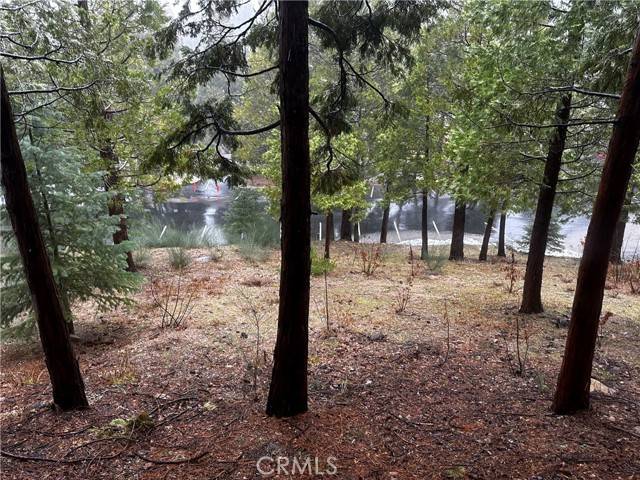 Lake Arrowhead, CA 92352,180 Grass Valley Road