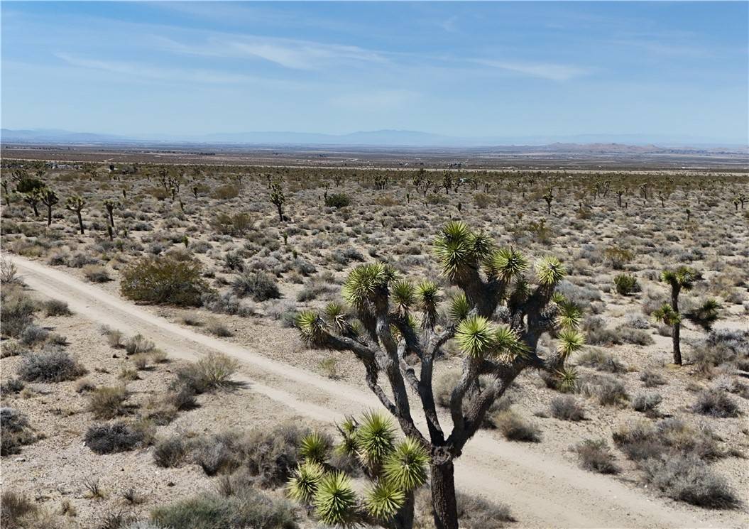 Llano, CA 93544,0 Avenue X 8