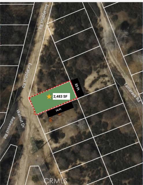 Cedar Glen, CA 92321,0 walnut