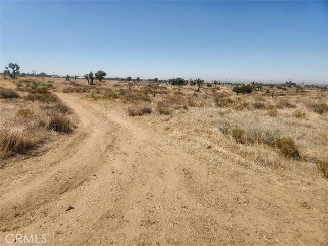 Phelan, CA 92371,1 Branding Iron Road