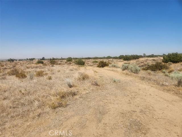 Phelan, CA 92371,1 Branding Iron Road