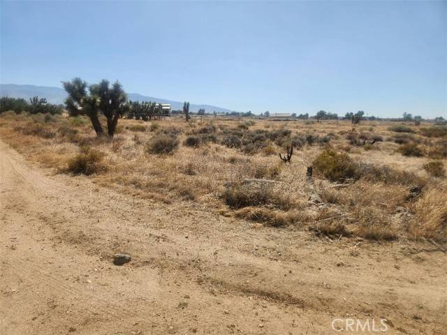 Phelan, CA 92371,1 Branding Iron Road
