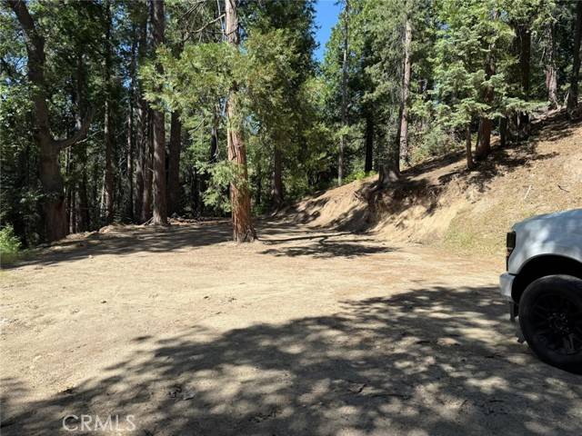 Idyllwild, CA 92549,0 Fernland Dr