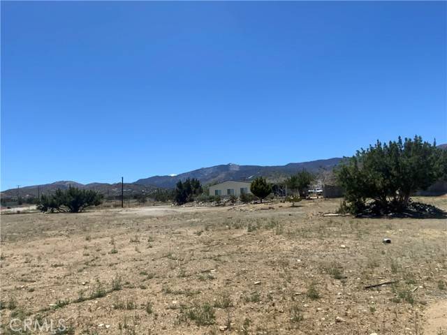 Phelan, CA 92371,9980 Pionero Road