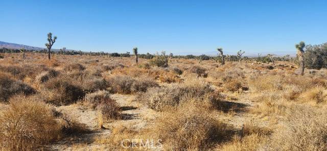 Pinon Hills, CA 92372,0 Silver Rock Road