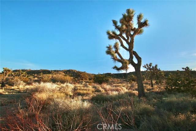 Yucca Valley, CA 92284,0 Mt View