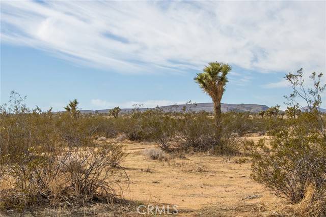 Landers, CA 92284,58300 Luna Vista Lane