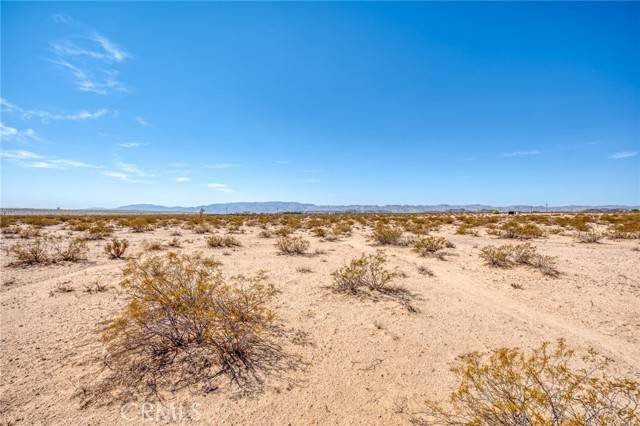 Joshua Tree, CA 92252,123 Mars Lane