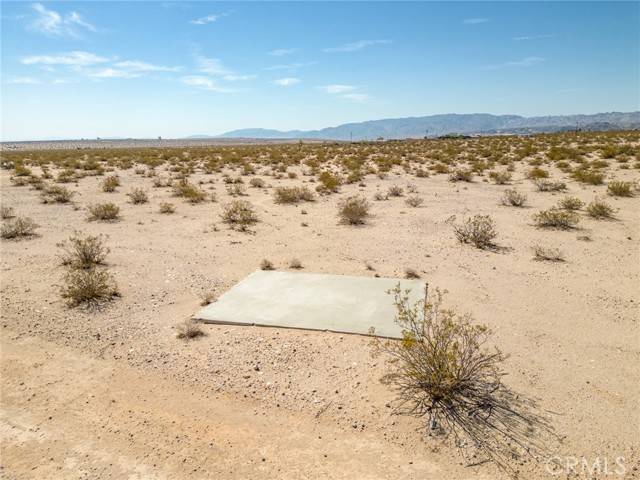 Joshua Tree, CA 92252,123 Mars Lane