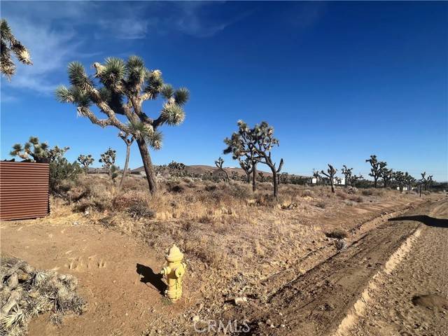 Yucca Valley, CA 92284,111 Wallaby